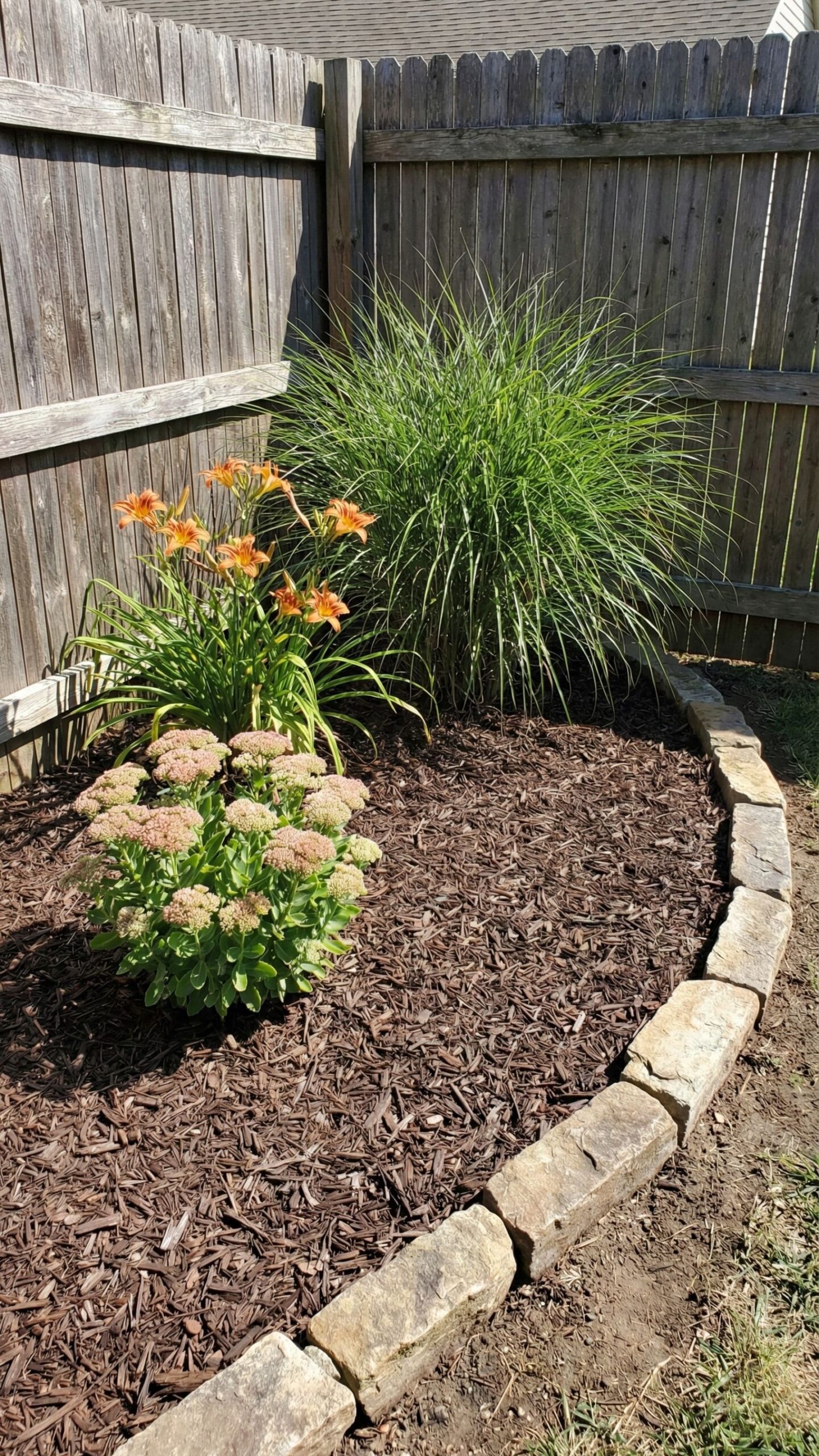 low maintenance backyard corner