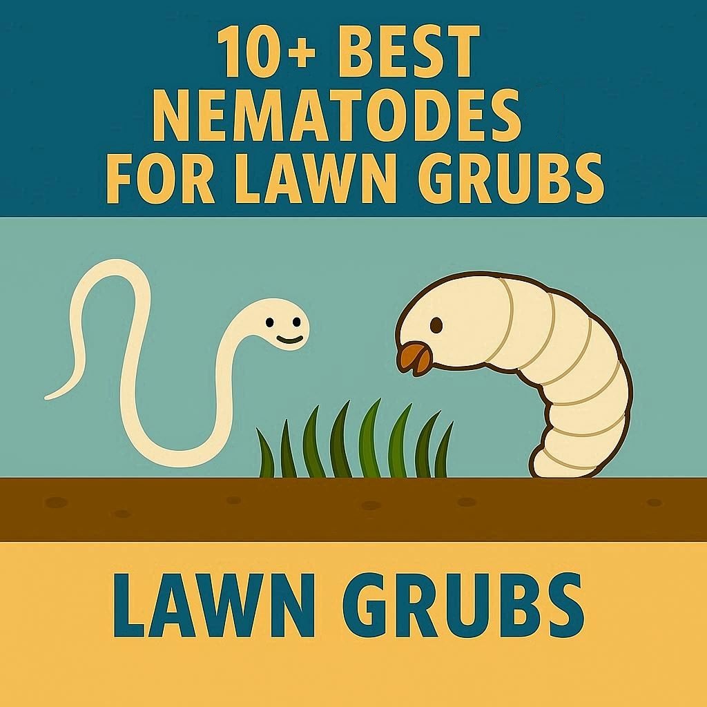 best nematodes for lawn grubs