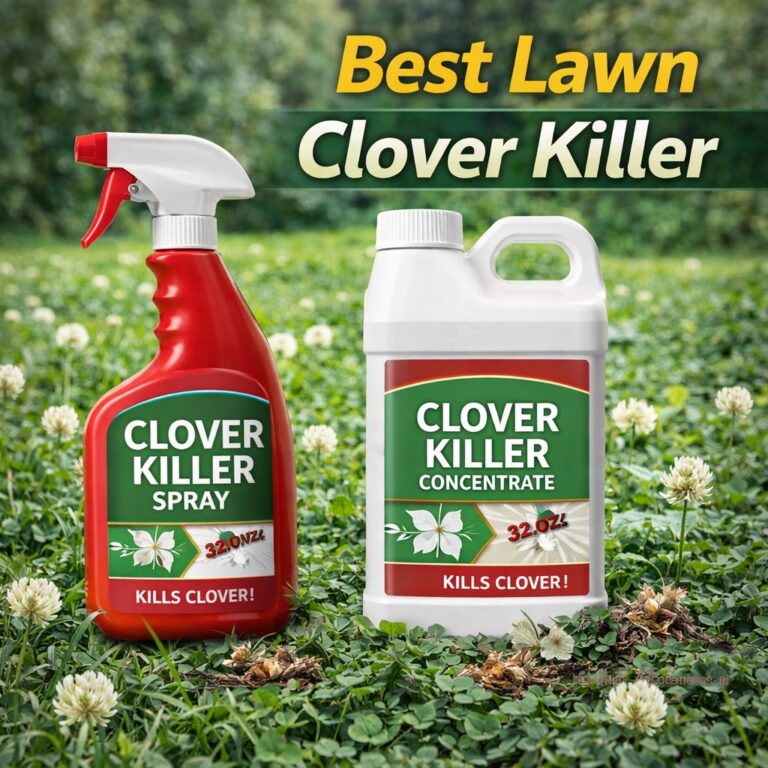 Best Lawn Clover Killer