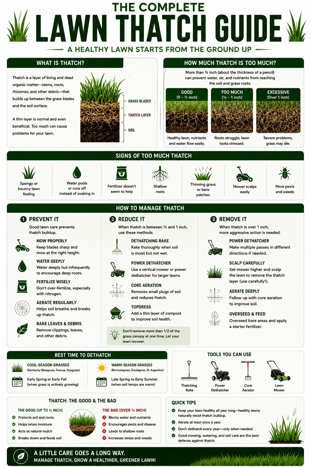 Lawn Thatch Guide Infographic
